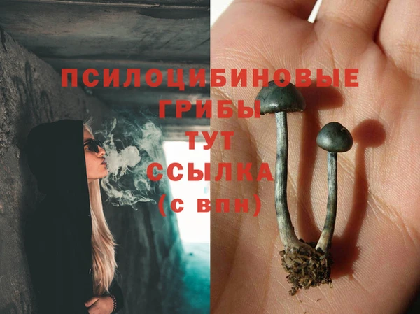гидропоника Армянск