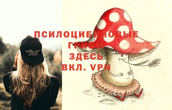 прущая мука Аркадак